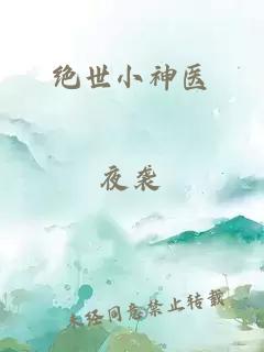 绝世小神医