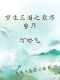 重生三国之我乃曹昂