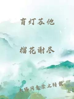 盲灯苏他