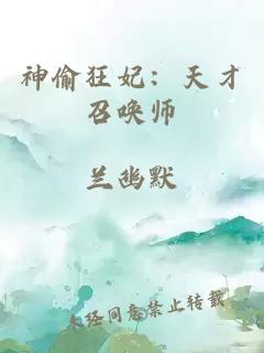 神偷狂妃：天才召唤师