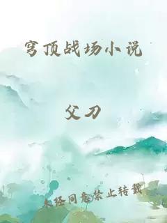 穹顶战场小说