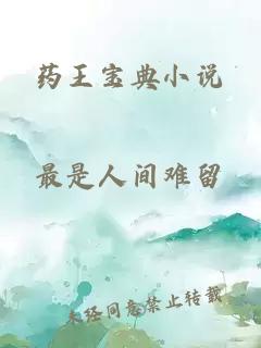 药王宝典小说