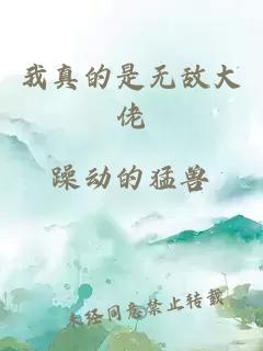 我真的是无敌大佬