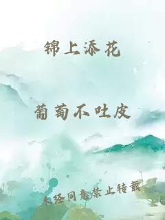 锦上添花