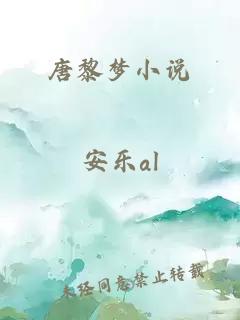 唐黎梦小说