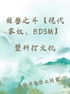 困兽之斗【现代家奴、BDSM】