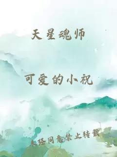 天星魂师