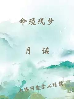 命殒残梦