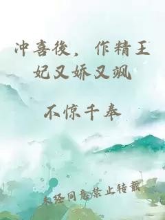 冲喜後，作精王妃又娇又飒