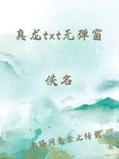 真龙txt无弹窗