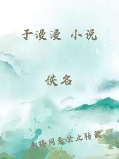 于漫漫 小说