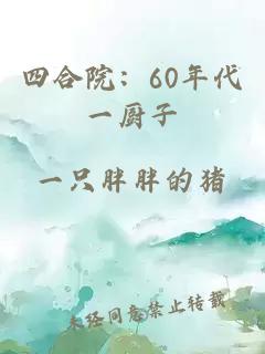 四合院：60年代一厨子