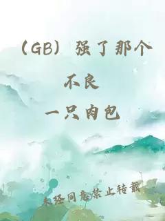 （GB）强了那个不良