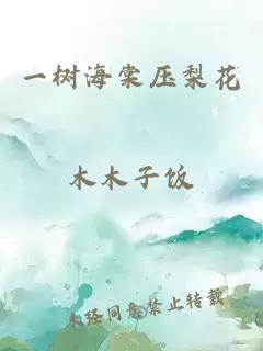 一树海棠压梨花