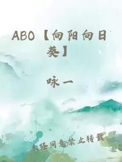 ABO【向阳向日葵】