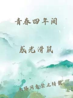 青春四年间