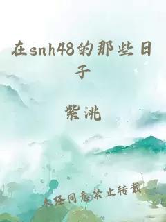 在snh48的那些日子