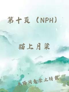 第十页（NPH）