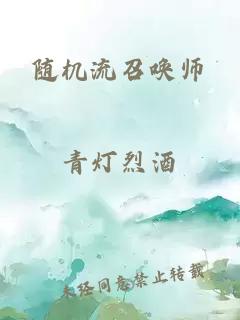 随机流召唤师